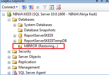Mirror Server Restoring Mode